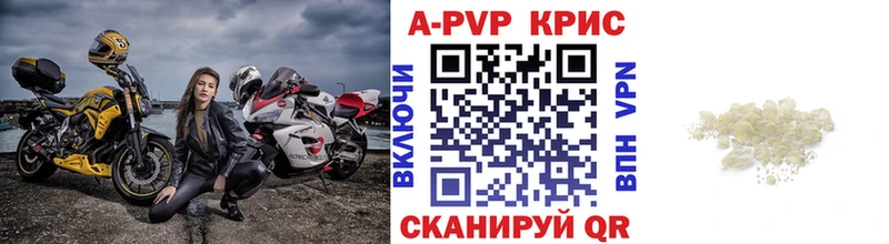 A-PVP СК КРИС  Кизилюрт 