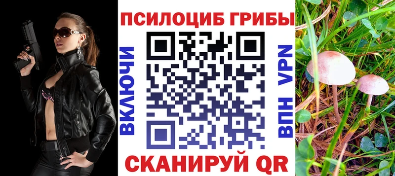 где найти наркотики  Кизилюрт  Галлюциногенные грибы Psilocybine cubensis 